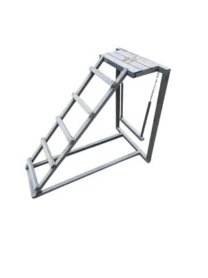 Image showing 7 th Zylina Play-N-Roost Ladder & Swing