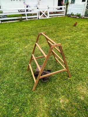 Image showing  Play-N-Roost Roosting Ladder