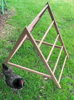 Image showing  Play-N-Roost Chick Activity Center