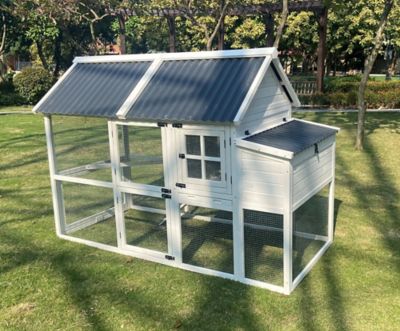 Zylina Modern Superior Hen House Chicken Coop, 6 Chicken Capacity