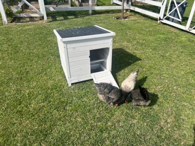 Image showing  2-Compartment Modern Nesting and Roosting Box