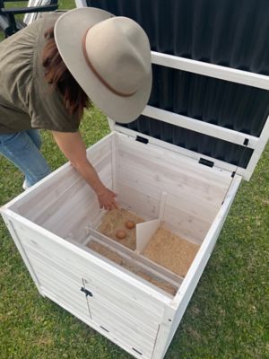 Image showing  2-Compartment Modern Nesting and Roosting Box