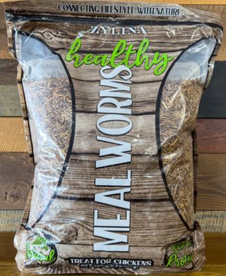 Image showing 7 th Zylina Healthy Mealworm Poultry Treats