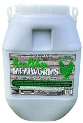 Zylina Healthy Mealworms Chicken Treats, 20 lb.