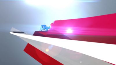 Image showing  6 ft. x 9 ft. Economy Bow Gate, Green