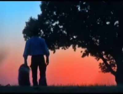 Image showing  Model '91 Headgate