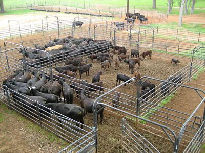 Image showing  10 ft. x 7 ft. Tall Premier Free-Swinging Bow Gate