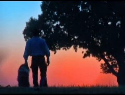 Image showing  10 ft. x 7 ft. Tall Premier Free-Swinging Bow Gate