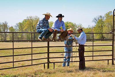 Image showing  10 ft. x 62 in. 6-Bar Utility Panel