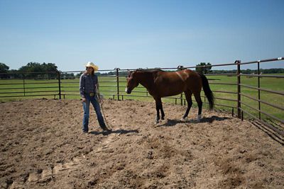 Image showing  10 ft. x 62 in. 6-Bar Utility Panel