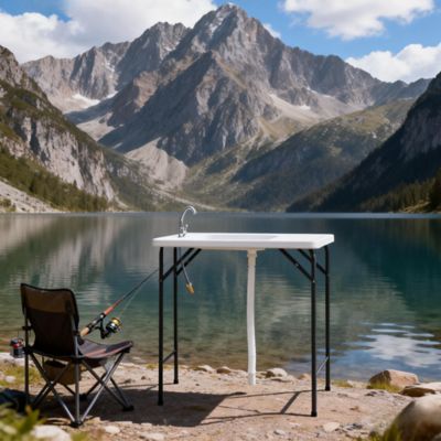 Image showing  Fish Table