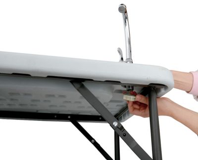 Image showing  Fish Table