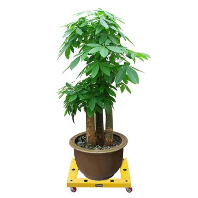 Image showing  KD Furniture Dolly, 300Lbs, Rectangle: 20x16, By Trimate, D1620