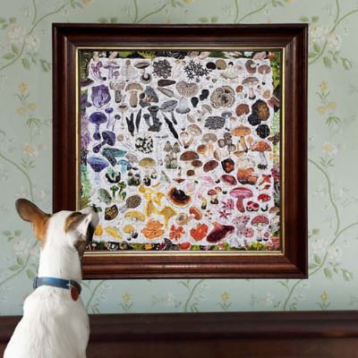 Image showing  pc. and Love Mushroom Rainbow 1000 pc. Square Adult Jigsaw Puzzle/ Ages 14+, PZTMRW