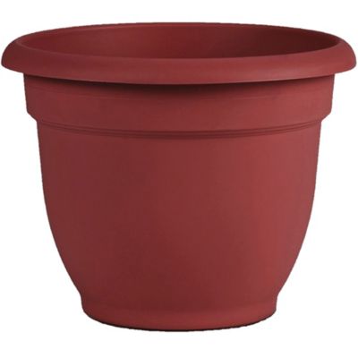 Bloem : Watering Cans For Plant Care