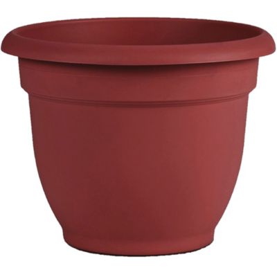 Bloem Ariana Self Watering Planter, 12 in., Durable Resin Pot, AP1213