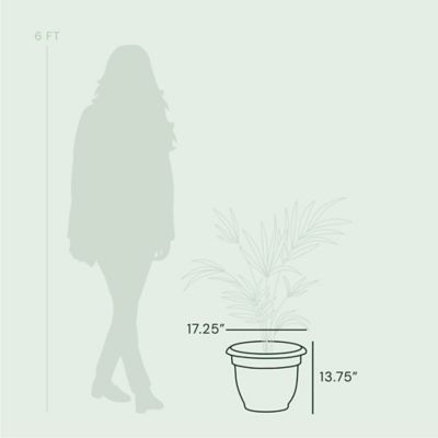 Image showing  Ariana Self Watering Planter, 16 in., Durable Resin Pot