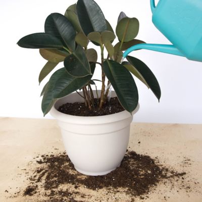 Image showing  Ariana Self Watering Planter, 16 in., Durable Resin Pot