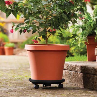 Image showing  Round Planter Caddy with Wheels, 12 in., Durable Plastic Dolly, B07ZR1HV4X