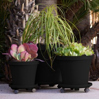 Image showing  Round Planter Caddy with Wheels, 12 in., Durable Plastic Dolly, B07ZR1HV4X
