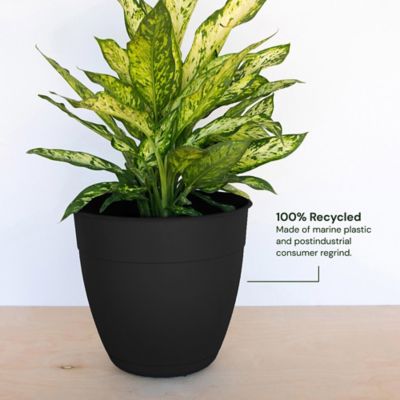 Image showing  3 gal. Plastic Dayton Planter with Saucer, 12 in.