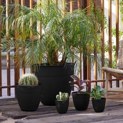 Image showing  3 gal. Plastic Dayton Planter with Saucer, 12 in.