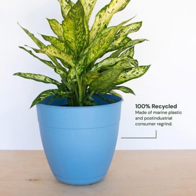 Image showing  8.5 gal. Plastic Dayton Planter with Saucer, 16 in.