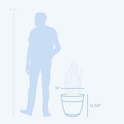 Image showing  8.5 gal. Plastic Dayton Planter with Saucer, 16 in.