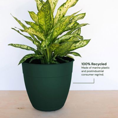 Image showing  16.5 gal. Plastic Dayton Flower Pot with Removable Saucer, 20 in.