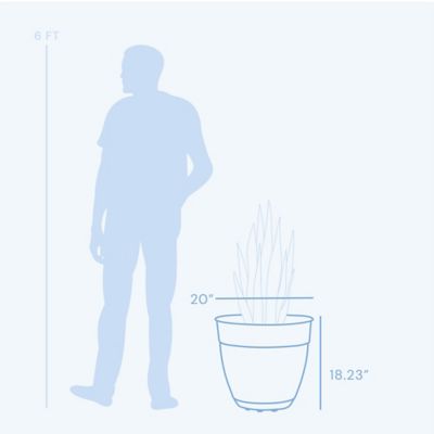 Image showing  16.5 gal. Plastic Dayton Flower Pot with Removable Saucer, 20 in.