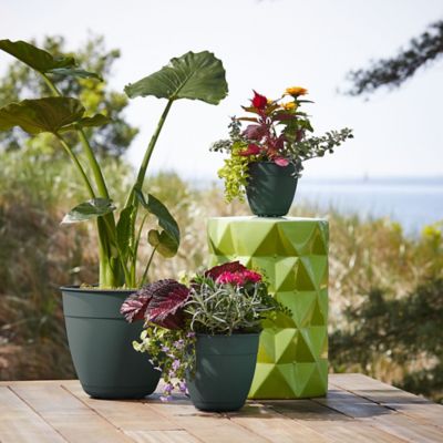 Image showing 5 th Bloem 16.5 gal. Plastic Dayton Flower Pot with Removable Saucer, 20 in.