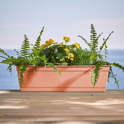 Image showing  5 gal. Plastic Dayton Window Box Planter with Elevated Feet, 24 in.