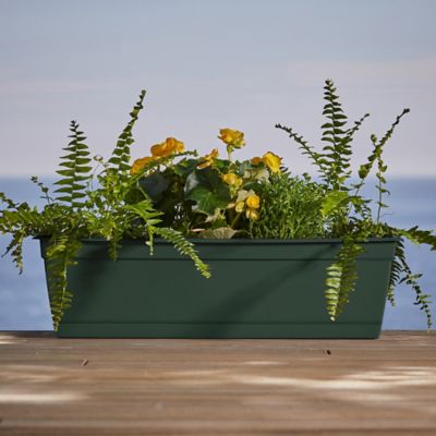 Image showing  5 gal. Plastic Dayton Window Box Planter with Elevated Feet, 24 in.