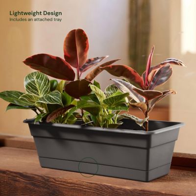 Image showing  2 gal. Dura Cotta Rectangular Window Box Planter, 18 in., Removable Tray