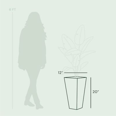 Image showing  5 gal. Plastic Tall Finley Tapered Round Planter, 20 in., Cement