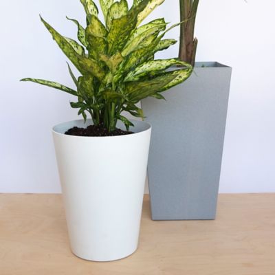 Image showing 5 th Bloem 5 gal. Plastic Tall Finley Tapered Round Planter, 20 in., Cement