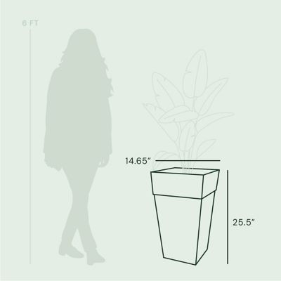 Image showing  9 gal. Plastic Tall Finley Tapered Square Planter, 25 in., Matte Textured Finish