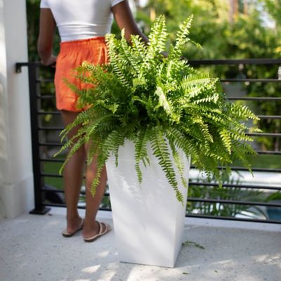 Image showing 5 th Bloem 9 gal. Plastic Tall Finley Tapered Square Planter, 25 in., Matte Textured Finish