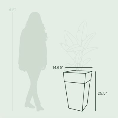 Image showing  9 gal. Plastic Tall Finley Tapered Square Planter, 25 in., Matte Textured Finish