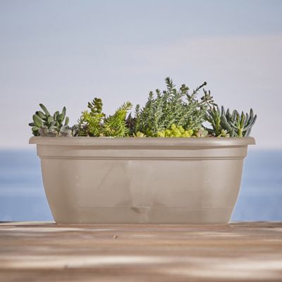 Image showing  Lucca Self Watering Hanging Basket, 18 in.