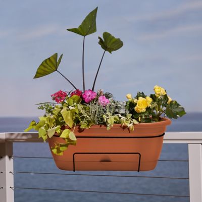 Image showing 5 th Bloem 2.5 gal. Plastic Lucca Self Watering Oval Window Box Planter, 18 in.