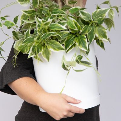 Image showing  Mathers Round Planter with Saucer Tray, 10 in., Modern Design