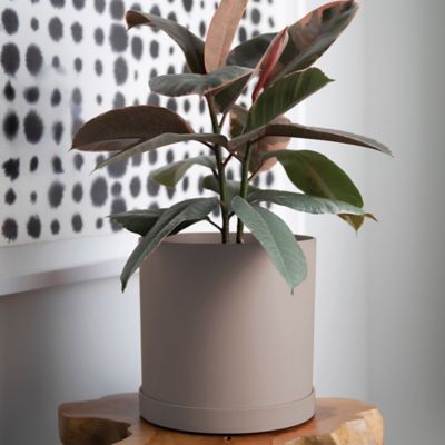 Image showing  Mathers Round Planter with Saucer Tray, 12 in., Modern Design