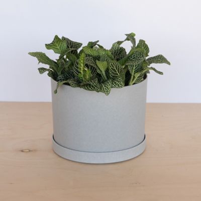 Image showing  Mathers Round Planter with Saucer Tray, 8 in., Modern Design