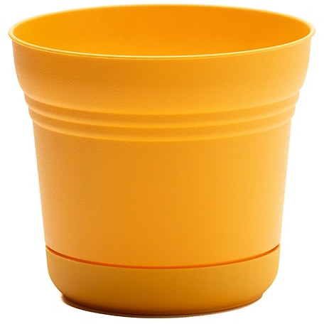 Bloem Saturn Round Planter with Removable Saucer Tray, 10 in.