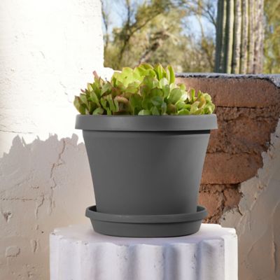 Image showing  Terra Pot Round Drain Saucer, 14 in., Ribbed Bottom, Charcoal
