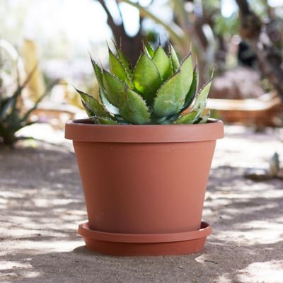 Image showing  Terra Pot Round Drain Saucer, 16 in., Tray for Planters 11-16 in., Matte Finish, Terra Cotta
