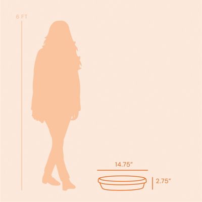 Image showing 5 th Bloem Terra Pot Round Drain Saucer, 16 in., Tray for Planters 11-16 in., Matte Finish, Terra Cotta