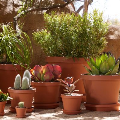 Image showing 6 th Bloem Terra Pot Round Drain Saucer, 16 in., Tray for Planters 11-16 in., Matte Finish, Terra Cotta