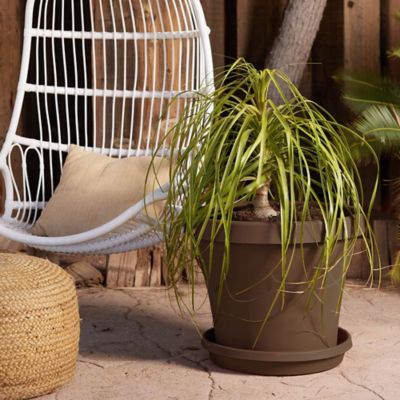 Image showing  Terra Pot Durable Resin Round Drain Saucer, 20 in., Matte Finish, Chocolate